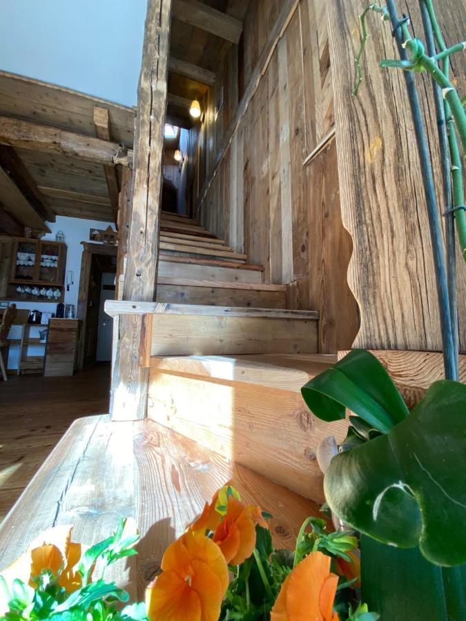 Calore Di Una Casa Di Montagna Campitello di Fassa Bagian luar foto